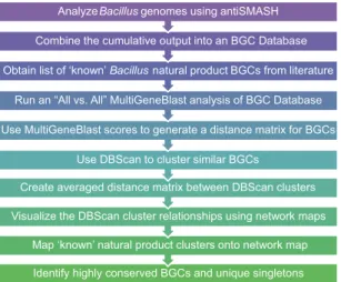 FIG 1 Workﬂow for bioinformatics calculations.