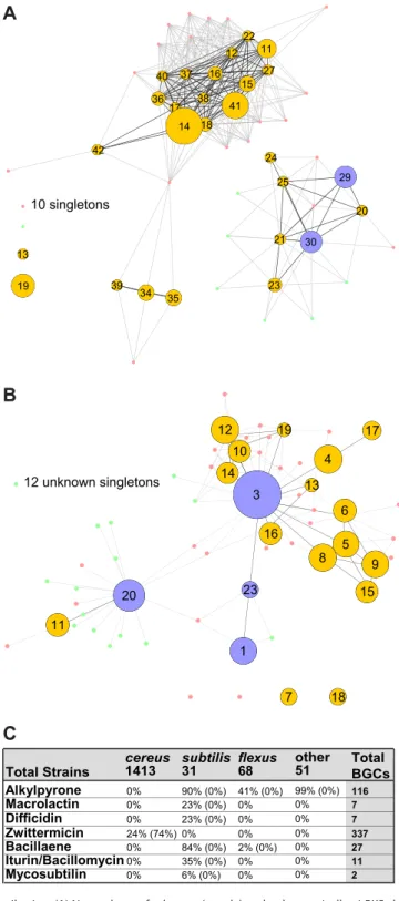 FIG 4 PKS distribution. (A) Network map for known (purple) and unknown (yellow) PKS clusters, with the cluster number at each node and the number of singletons listed