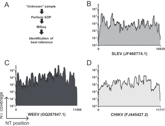 FIG 7 The ability of the SOP to sequence and identify unknown samples. (A) High-titer viral stocks were subjected to the SOP, anonymized, and shipped to JCVI for sequencing and data analysis