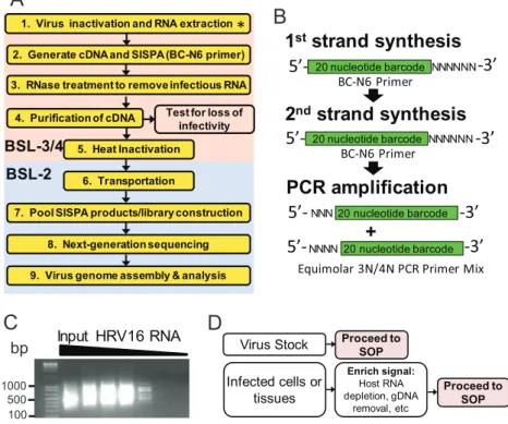 FIG 1 Overview of the proposed standard operating procedure (SOP) for rapid next-generation sequencing library preparation and inactivation of ssRNA ⴙ viruses
