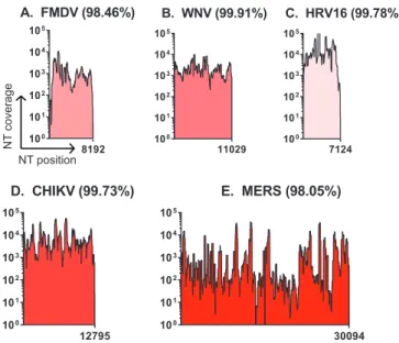 FIG 2 The SOP generates high-quality full-genome sequence data across multiple ssRNA ⴙ virus families