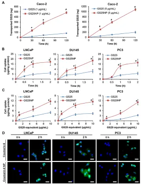 Figure 2: In vitro permeability and cellular uptake of GS25 and GS25NP. A. The permeation of 1 and 5 μg/mL of free GS25 and GS25NP from apical to basolateral across Caco-2 cell monolayers at 37°C, presented as the amount of GS25 transported.B, C
