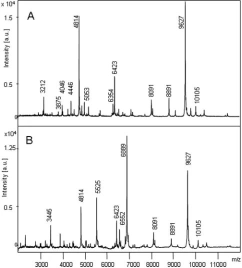FIG 1 Identiﬁcation of a mass signal by antisense technology. Antisense RNAagainst SA1305, which encodes the DNA binding protein HU with a calculatedmolecular mass of 9,626 Da, was expressed using the vector pEPSA5 carryingthe structural gene of the xylose