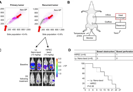 Figure 5 regional delivery of Nano-taxol may replace hIPec.Notes: (A) Recurrent tumors were retrieved and subjected to flow cytometry analysis of the Hoechst 33342-stained side population cells