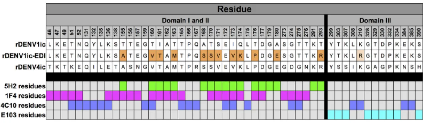 FIG 4 rDENV1ic-EDI gains binding and neutralization to DENV4 serotype-speciﬁc MAb 5H2