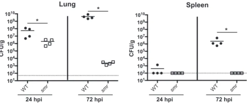 FIG 1 The smr mutant is attenuated in a mouse model of pneumonia. Mice were inoculated i.n
