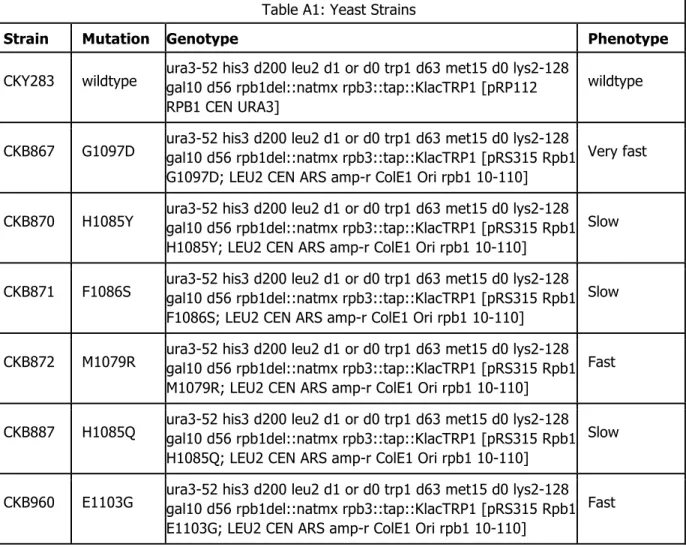 Table A1: Yeast Strains 