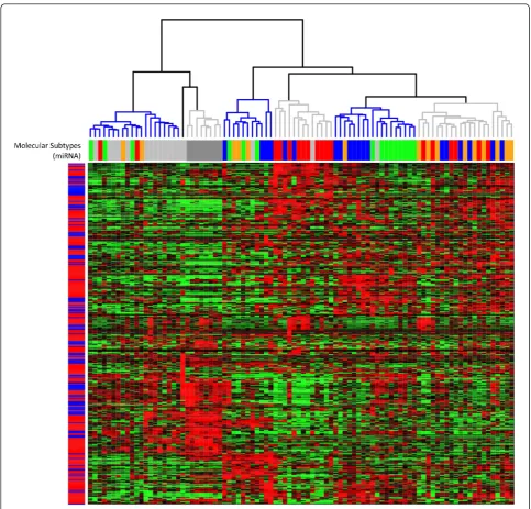Figure 2 Heatmap showing the result of an UHCA (Manhattan distance, Ward linkage) for all 373 miRNAs in all 92 samples