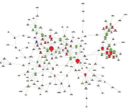 Figure 2: PPI sub-network of genes related to the aberrant DNA methylation sites. The red nodes represent HyperM adjacent genes in the arsenic-exposure group, the green nodes represent HypoM adjacent gene, and the blue ones represent Mixed genes