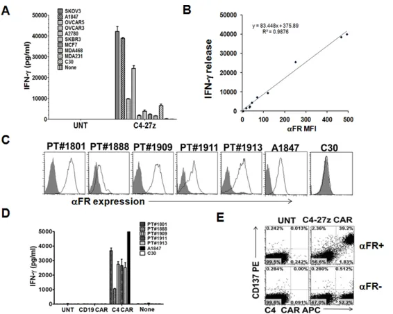 Figure 2: C4 CAR T cells secrete Th1 proinflammatory cytokine in response to tumor cell line and primary ovarian cancer cell surface associated αFR