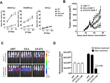 Figure 3: Antitumor activity of human T cells expressing C4 CAR in vitro and in vivo. A