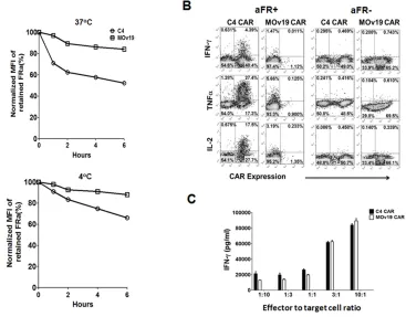 Figure 5: CAR down-modulation may impair the antitumor activity of MOv19 CAR but not C4 CAR