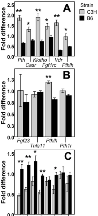 Figure 3.6: Expression of genes involved in BPK feedback loop