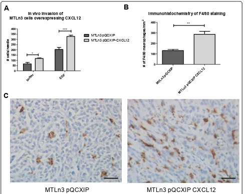 Figure 6 Rat mammary adenocarcinoma CXCL12 cells show increased invasion to epidermal growth factor and recruitment ofmacrophages