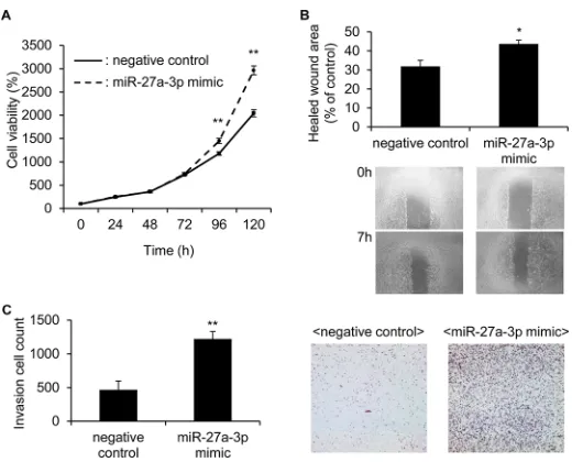 Figure 3: miR-27a-3p mimic significantly increased the cell growth, motility and invasion ability in 786-O cells