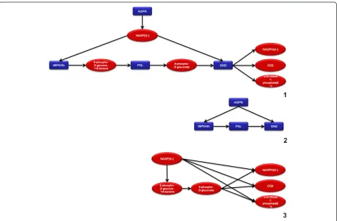 Figure 1 Illustration of the three types of network representation supported by TNA4OptFlux.