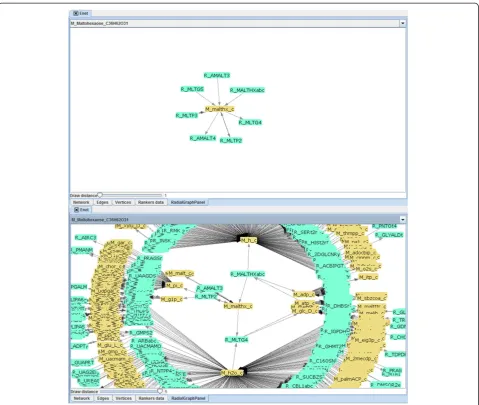 Figure 2 Illustration of the radial graph panel that allows to visualize metabolic networks centred in a metabolite.