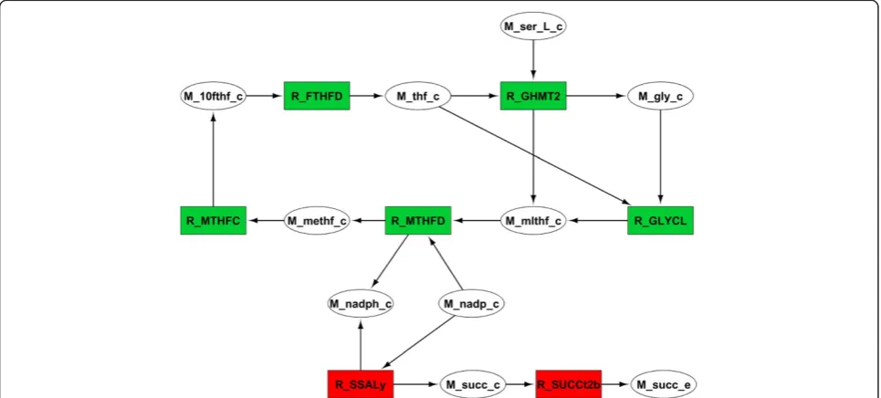 Figure 5 Manually curated variation network between the succinate producing mutant and the triple mutant (R_TKT1, R_SUCD1i andadenine dinucleotide phosphate,Succinate,R_THD2) described in Table 1