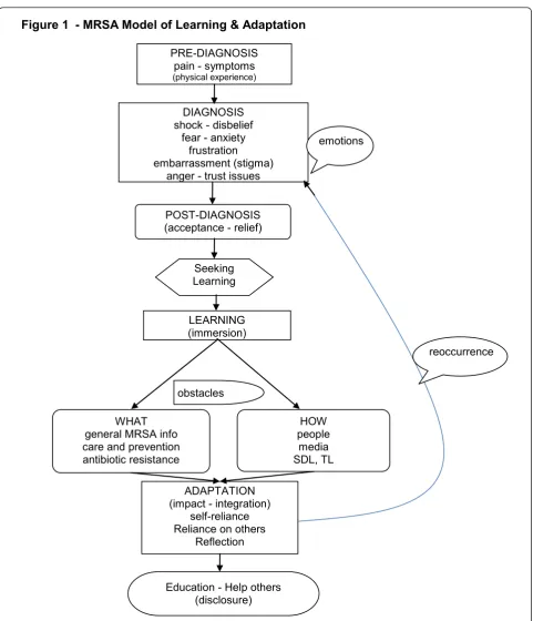 Figure 1  - MRSA Model of Learning & Adaptation 
