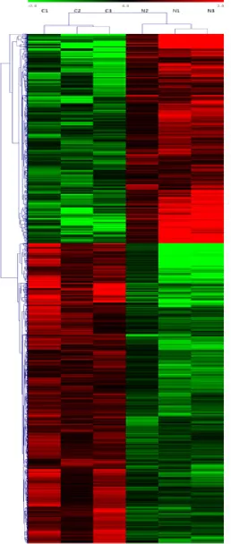 Figure 1: Heat map and hierarchical clustering of lncRNA profile comparison between the TNBC and normal breast samples