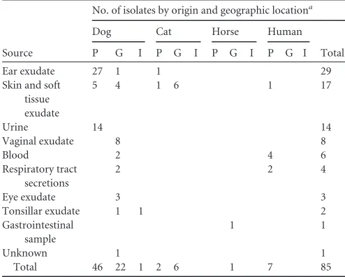 TABLE 1 Distribution of the 85 S. canis clinical isolates studied bysource, origin, and geographic location