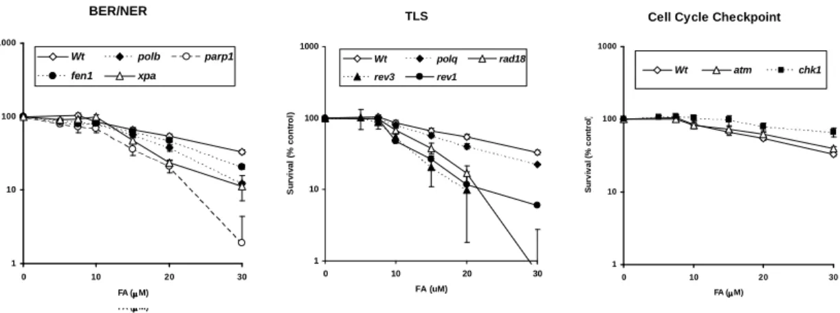 Figure  3-3.  Sensitivity  of  wild-type (wt)  and  HR- and  NHEJ- deficient  cells  after  exposure to formaldehyde