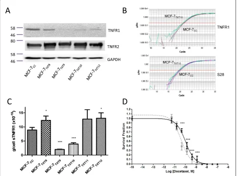 Figure 5 Tumor-necrosis factor receptor (TNFR)1 and TNFR2 levels in MCF-7Error bars represent standard error of the mean