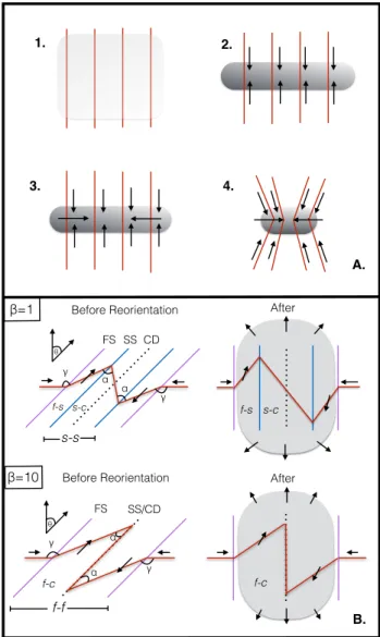 Figure 1. Mechanisms for generating filaments normal to mag- mag-netic field lines. Top Panel