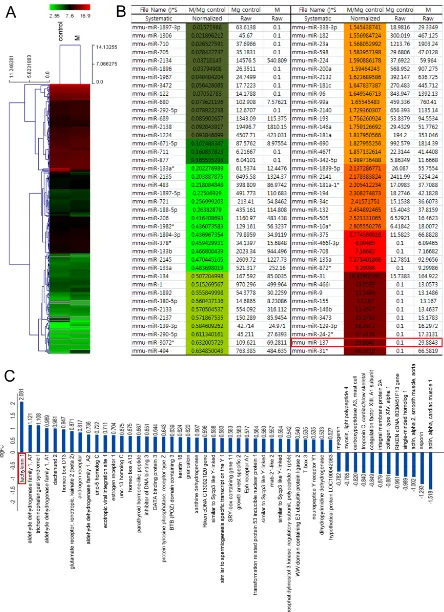 Figure 1: Heat-map of 3rd mammary gland and inter mammary gland region miRNA expression illustrating cluster-analysis of the expression data