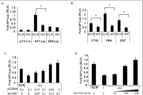 Figure 4 EpCAM expression is associated with AP-1 transcription factor activity. Epithelial cell adhesion molecule (EpCAM) expression wasspecifically ablated in breast cancer cells using lentiviral constructs, and then rescued by cDNA or recombinant EpCAM