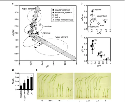 Fig. 3 Estimation of oxidative stress tolerance of World Rice Core Collection. sent means and standard deviations