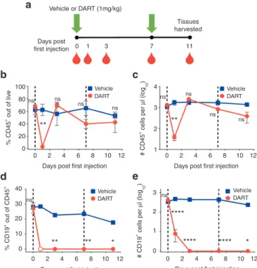 Figure 1  CD19xCD3 DART protein administration depletes human CD19 + B cells from the peripheral blood