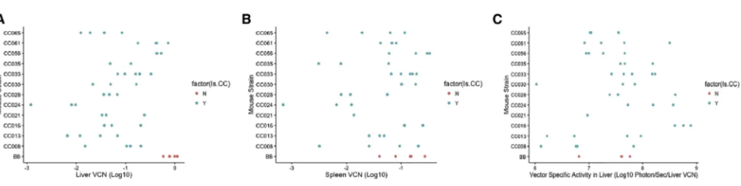 Figure 4. Vector Copy Number and Luciferase Levels per Vector Copy Vary between Strains