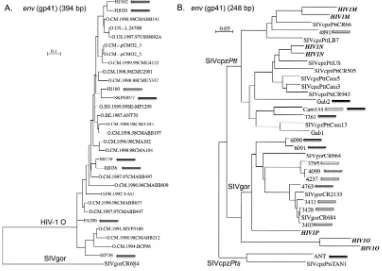 FIG 1 (A and B) Phylogenetic relationships between HIV-1 group O strains (A) and SIVcpz/SIVgor viruses (B), tested by our RT-qPCR assay with referencestrains
