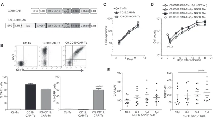 Figure 1. Generation of Activated T Lymphocytes that Co-express an Inducible Caspase-9, a CD19-Specific CAR, and a Truncated NGFR