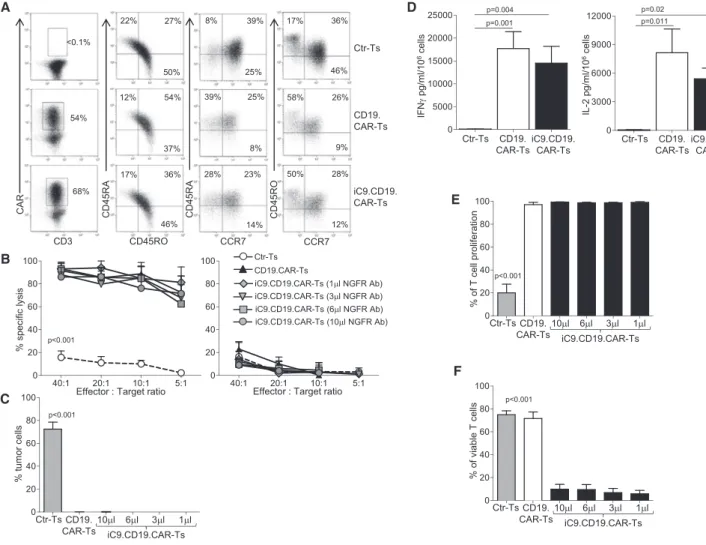 Figure 2. Functionality In Vitro of iC9.CD19.CAR-Ts