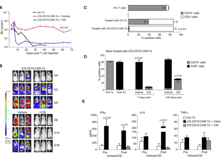 Figure 3. In Vivo Expansion of iC9.CD19.CAR-Ts and Effects of CID