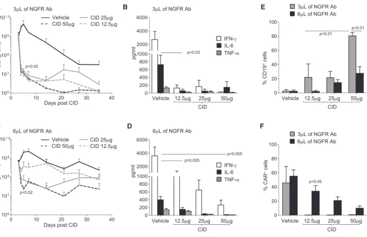 Figure 6. Modulation of iC9.CD19.CAR-T Function In Vivo by CID