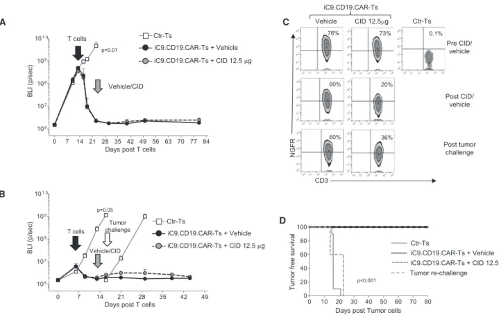 Figure 7. Modulation of iC9.CD19.CAR-T Function In Vivo in High Tumor Burden and Re-challenge Tumor Models