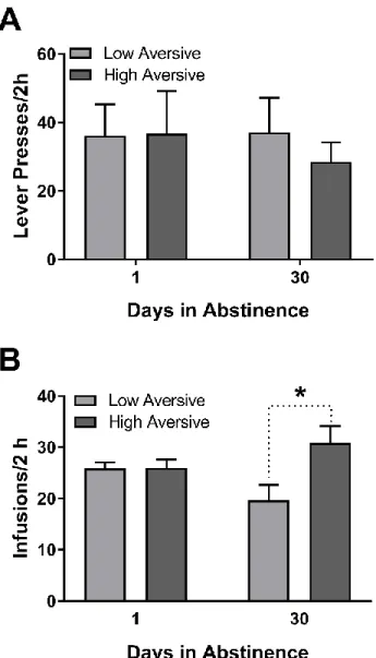 Figure  8.  Behavioral  responding  in  low  and  high  aversive  rats  during  extinction  and  resumption of cocaine self-administration