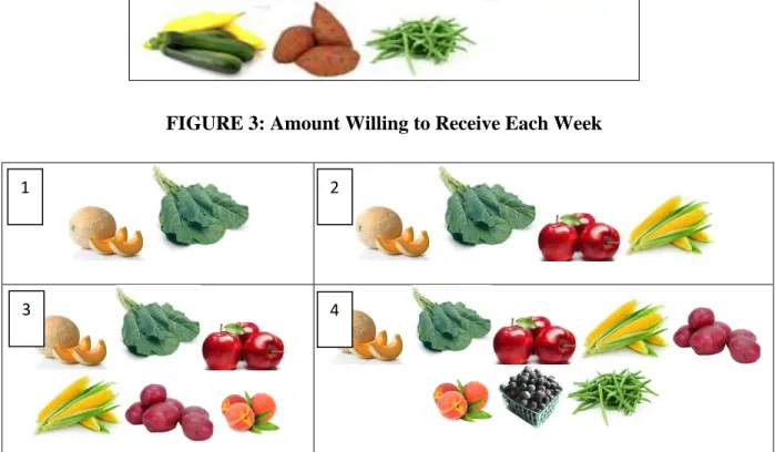 FIGURE 3: Amount Willing to Receive Each Week 