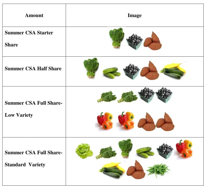 FIGURE 4. CSA Share Examples from Exercises 