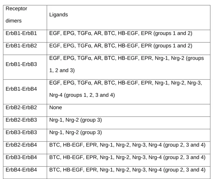 Table 1.1 ErbB receptor dimers and their ligands, adapted 18