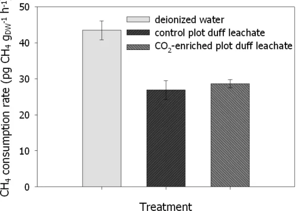 Figure 3.4. Rates of CH 4  consumption by forest soils amended with deionized water or  duff leachates from CO 2 -enriched (n=4) or control (n=4) plots