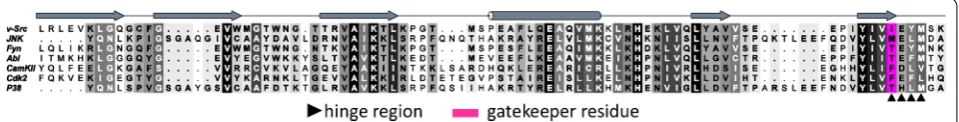 Fig. 4 Sequence alignment of the N-lobe and hinge region of the seven wild-type protein kinases belonging to our data set