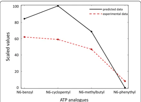 Fig. 5 Comparison of experimental and predicted data for engineered JNKM108GL168A and ATP analogues