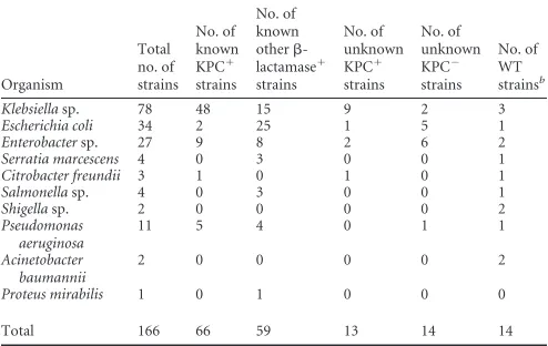 TABLE 2 In silicobla and in vitro Tm analysis of the 189-bp amplicon for 12KPC alleles
