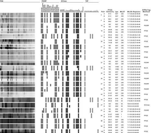 FIG 1 Comparison of genotyping methods for 23 pairs, which differed by only one method (as indicated in the right-hand column)