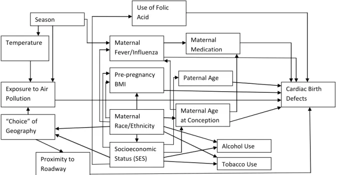 Figure 3.2: Directed Acyclic Graph (DAG) of the relationship between Exposure to Air Pollutants and Congenital Heart  Defects 