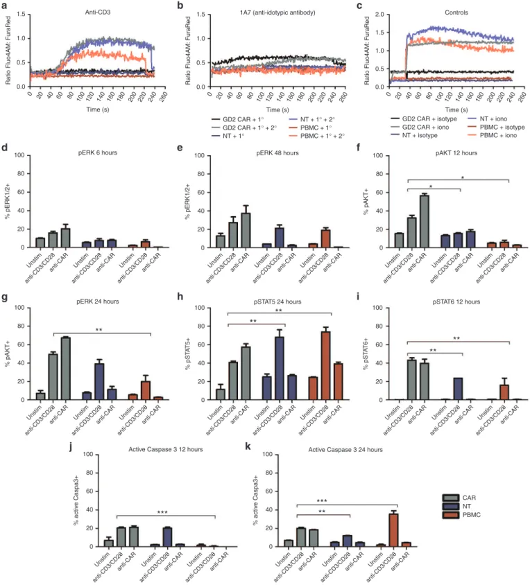 Figure 3 Comparison of downstream signaling events following chimeric antigen receptor (CAR) or CD3/CD28 stimulation